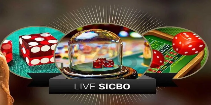 Sicbo Live ZOMCLUB - Sân Chơi Minh Bạch Và An Toàn Bậc Nhất